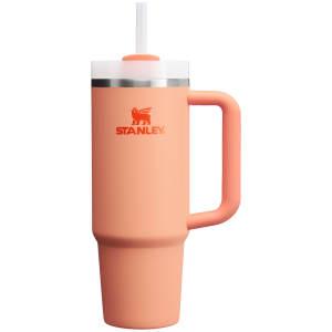 The Quencher H2.0 Flowstate? Tumbler | 30 OZ